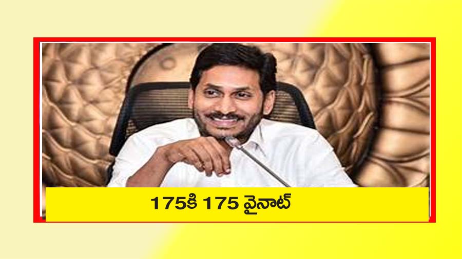వైనాట్‌.. 175కి 175
