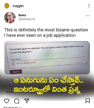 అమ్మ‌డానికి, వ‌దిలేయ‌లేని ఏనుగును ఏం చేస్తావ్‌.. ఇంటర్య్వూలో వింత ప్ర‌శ్న