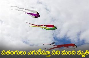 Flying Kites