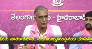 harish rao pressmeet