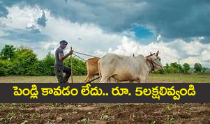 young farmers