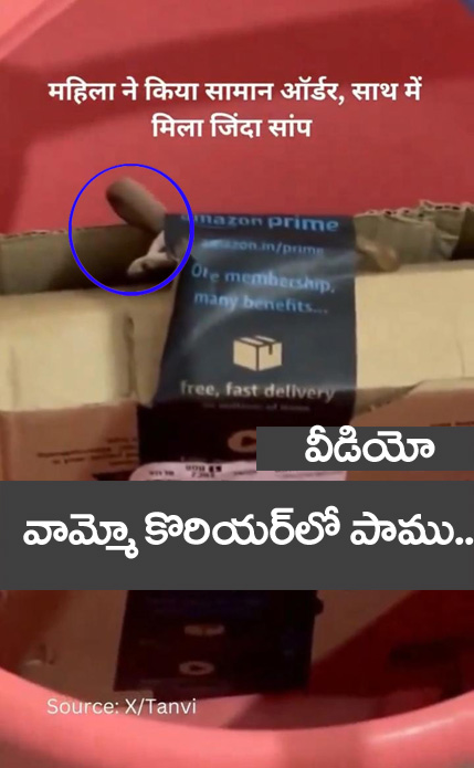 Snake Viral Video” వామ్మో పాము.. కొరియ‌ర్‌లో వ‌చ్చిన విషపూరిత పాము