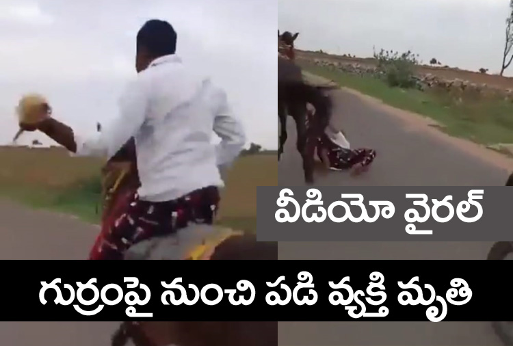 Horse Viral Video” పరుగెత్తుతున్న గుర్రంపై నుంచి ప‌డి ఒక‌రు మృతి..