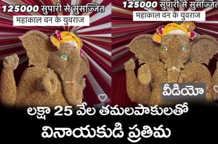 Ganapathi Viral Video