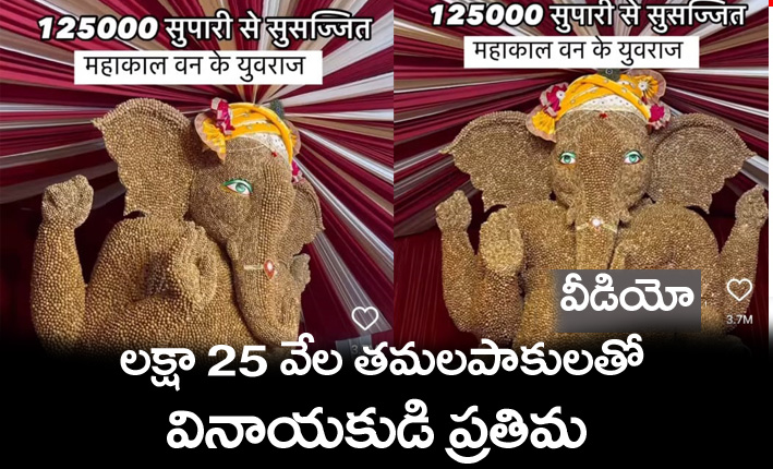 Ganapathi Viral Video
