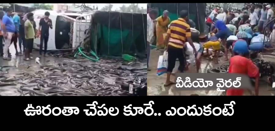 Mahabubad News”  ఊరంతా చేప‌ల కూరే.. ఎందుకంటే.. వీడియో