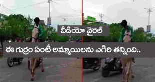 వీడియో వైర‌ల్