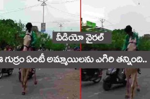 వీడియో వైర‌ల్