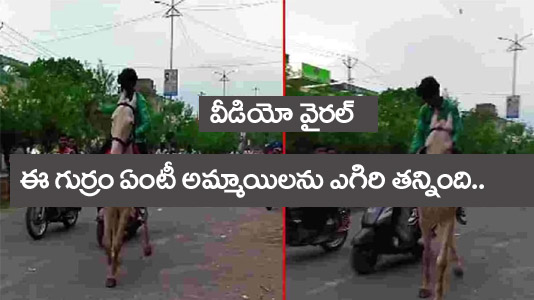 వీడియో వైర‌ల్