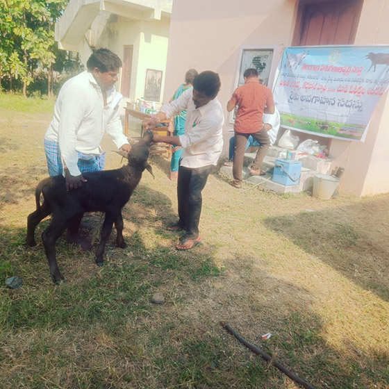 Karimnagar News” రైతులు పాడి పెంపకంపై దృష్టి సారించాలి