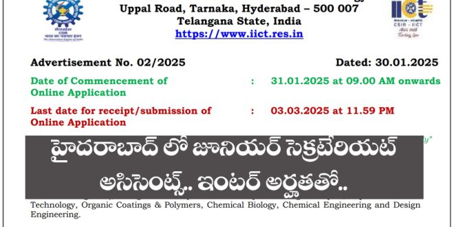 Government Jobs