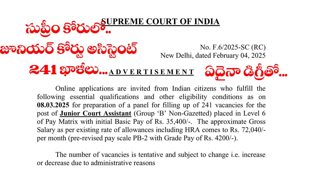 Junior Court Assistant