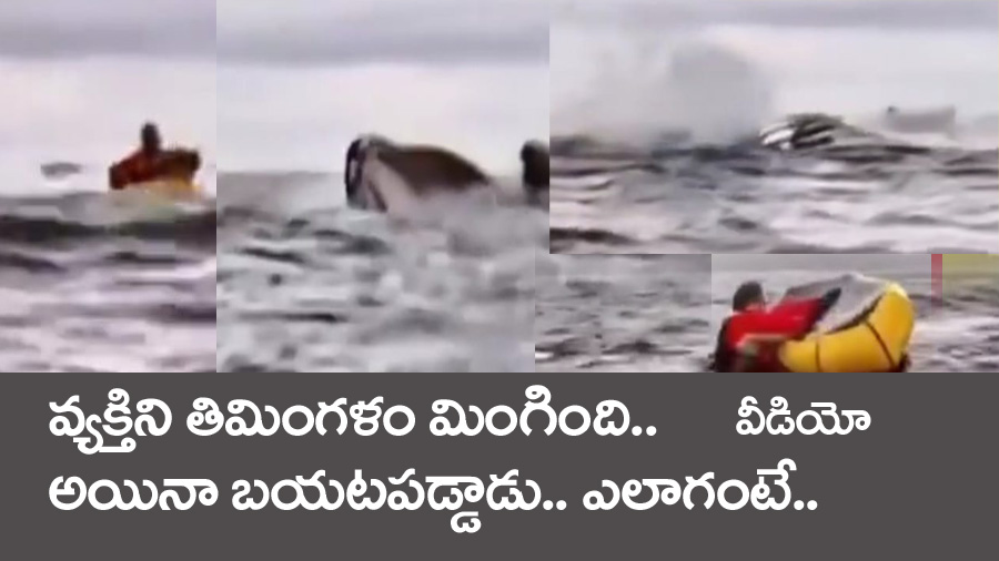 Viral Video” వ్య‌క్తిని మింగిన తిమింగ‌ళం.. అయిన బ‌తికాడు.. వీడియో