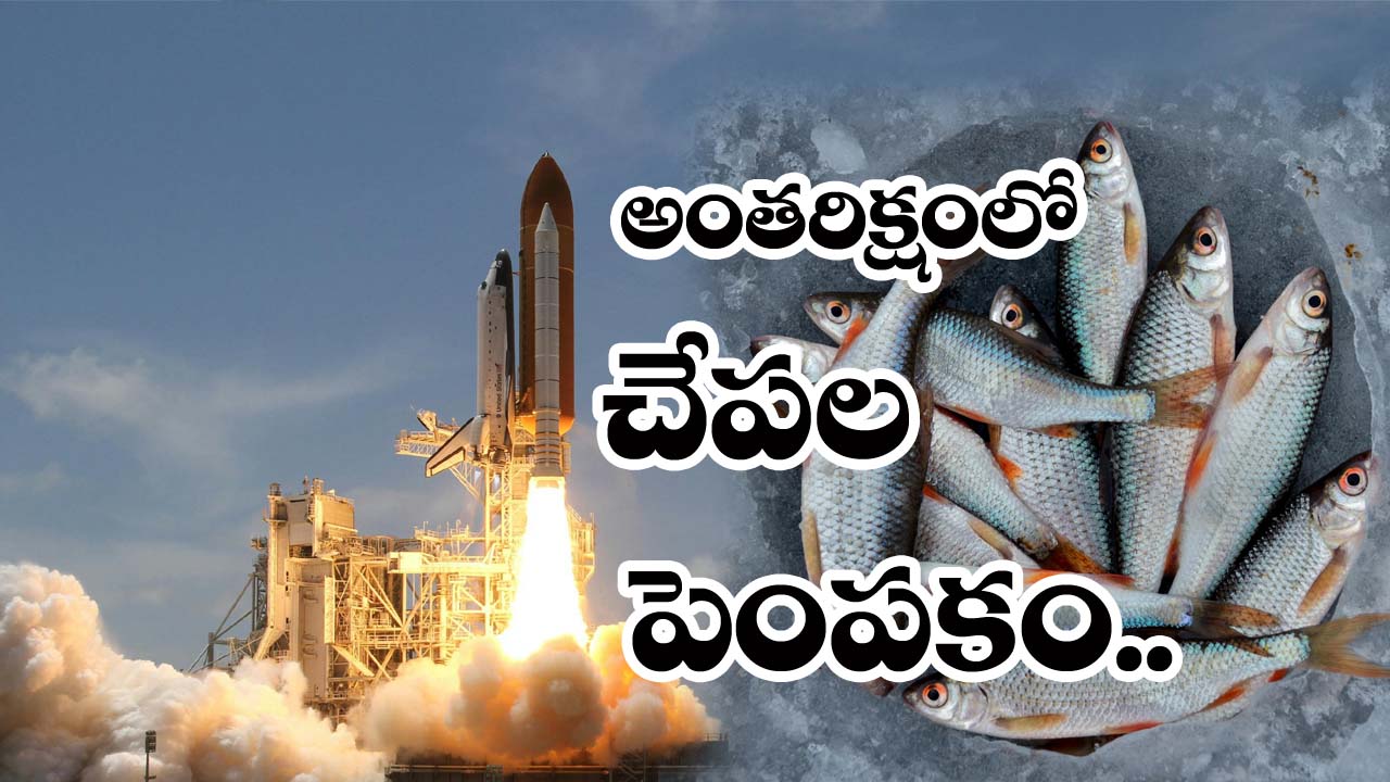 Space” అంత‌రిక్షంలో చేప‌ల పెంప‌కం