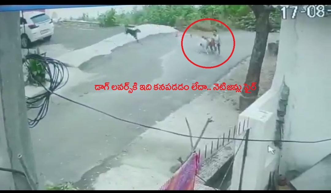 Udaipur Dog Attack” కుక్క‌ల ప్రేమికుల‌కు ఇది క‌న‌ప‌ప‌డం లేదా.. ఐదేండ్ల బాలుడిపై వీడియో…