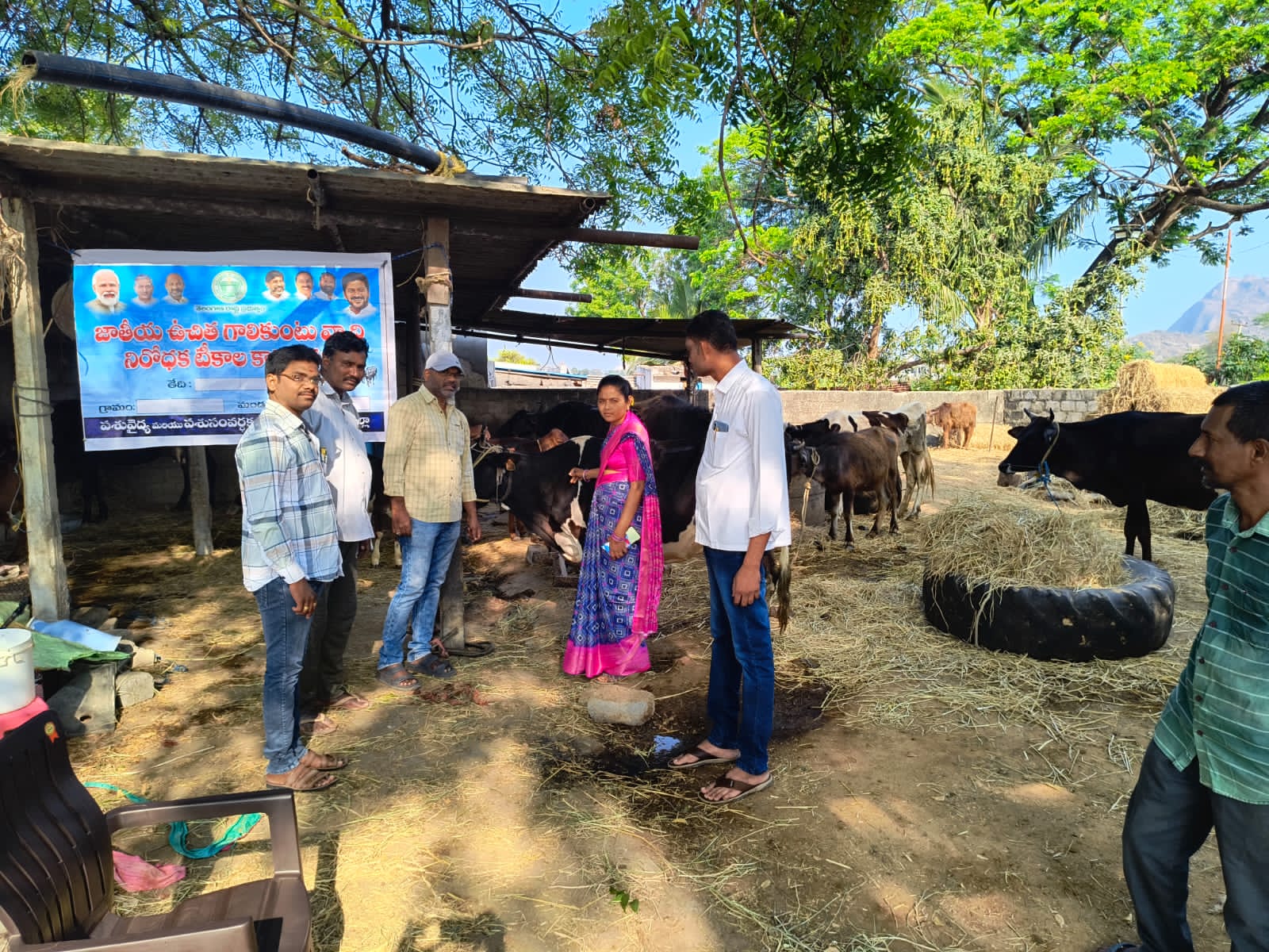 పాడి పశువులతో కుటుంబ ఆర్థిక ఎదుగుదల  