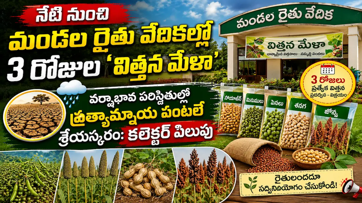 Karimnagar collecter